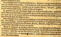 An illustration from Nieuwe ende seer naeuwkeurige reyse door de Spaensche West-Indien (1682)