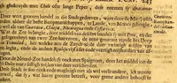 An illustration from Nieuwe ende seer naeuwkeurige reyse door de Spaensche West-Indien (1682)