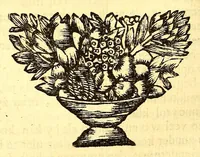 An illustration from Nieuwe reystogt en beschryving van de land-engte van Amerika, : behelzende een verhaal van de schryvers verblyf en zonderlinge avontuuren aldaar, de gesteltenisse van 't land, de kusten, bergen, rivieren, bosschen, 't aardryk, weeder, de boomen, vruchten, beesten, volgelen, visschen enz. Mitsgaders de Indiaansche inwoonders, hunne gestalte, aardt, zeeden, gewoonten, werk, huuwelyken, gastmaalen, beestejagt, manier van tellen, taal, enz. Beneffens eenige merkwaaardige ontmoetingen in de zuydzee en elders. (1700)