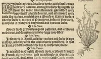 Picture 4 of 27 from A nievve herball, or historie of plantes : wherin is contayned the vvhole discourse and perfect description of all sortes of herbes and plantes, their diuers & sundry kindes, their straunge figures, fashions, and shapes, their names, natures, operations and vertues : and that not onely of those whiche are here growyng in this our countrie of Englande, but of all others also of forrayne realmes, common vsed in physicke (1578), leaf 124