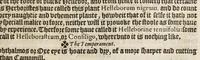 An illustration from A nievve herball, or historie of plantes : wherin is contayned the vvhole discourse and perfect description of all sortes of herbes and plantes, their diuers & sundry kindes, their straunge figures, fashions, and shapes, their names, natures, operations and vertues : and that not onely of those whiche are here growyng in this our countrie of Englande, but of all others also of forrayne realmes, common vsed in physicke (1578)