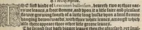 An illustration from A nievve herball, or historie of plantes : wherin is contayned the vvhole discourse and perfect description of all sortes of herbes and plantes, their diuers & sundry kindes, their straunge figures, fashions, and shapes, their names, natures, operations and vertues : and that not onely of those whiche are here growyng in this our countrie of Englande, but of all others also of forrayne realmes, common vsed in physicke (1578)