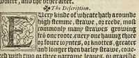 An illustration from A nievve herball, or historie of plantes : wherin is contayned the vvhole discourse and perfect description of all sortes of herbes and plantes, their diuers & sundry kindes, their straunge figures, fashions, and shapes, their names, natures, operations and vertues : and that not onely of those whiche are here growyng in this our countrie of Englande, but of all others also of forrayne realmes, common vsed in physicke (1578)