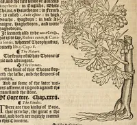 Picture 24 of 27 from A nievve herball, or historie of plantes : wherin is contayned the vvhole discourse and perfect description of all sortes of herbes and plantes, their diuers & sundry kindes, their straunge figures, fashions, and shapes, their names, natures, operations and vertues : and that not onely of those whiche are here growyng in this our countrie of Englande, but of all others also of forrayne realmes, common vsed in physicke (1578), leaf 726
