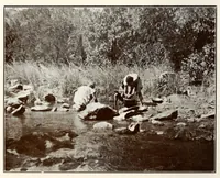Picture 12 of 17 from Nigeria and its tin fields (1910), leaf 314