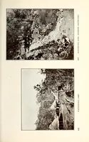 Picture 13 of 17 from Nigeria and its tin fields (1910), leaf 323