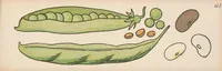 An illustration from Nimm mich mit! : Ein lehrreiches Bilderbuch