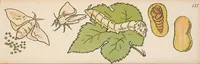 An illustration from Nimm mich mit! : Ein lehrreiches Bilderbuch