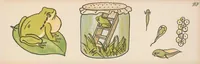 Picture 13 of 18 from Nimm mich mit! : Ein lehrreiches Bilderbuch, leaf 153