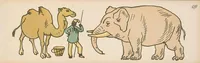 An illustration from Nimm mich mit! : Ein lehrreiches Bilderbuch