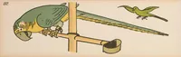 Picture 16 of 18 from Nimm mich mit! : Ein lehrreiches Bilderbuch, leaf 188