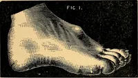 An illustration from Nineteenth century miracles; or spirits and their work in every country of the earth. A complete historical compendium of the great movement known as "modern spiritualism." (1883)
