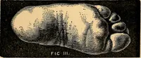An illustration from Nineteenth century miracles; or spirits and their work in every country of the earth. A complete historical compendium of the great movement known as "modern spiritualism." (1883)