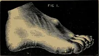 An illustration from Nineteenth century miracles, or, Spirits and their work in every country of the earth : a complete historical compendium of the great movement known as "modern spiritualism" (1884)