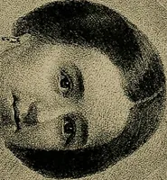 An illustration from Nineteenth century miracles, or, Spirits and their work in every country of the earth : a complete historical compendium of the great movement known as "modern spiritualism" (1884)