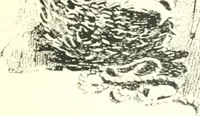 An illustration from Ninety-eight : a calendar for the year 1898; with some drawings suggestive of the everyday life of the past in Canada (1898)