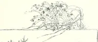 An illustration from Ninety-five : a calendar for the year MDCCCXCV; with some selections from Canadian writers and drawings by members of the Toronto Art Students' League (1895)