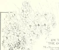 Picture 12 of 33 from Ninety-four : a calendar for the year of Our Lord MDCCCXCIV; with verses by some of the Canadian writers of verse and drawings by members of the Toronto Art Students' League (1894), leaf 12