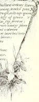 An illustration from Ninety-four : a calendar for the year of Our Lord MDCCCXCIV; with verses by some of the Canadian writers of verse and drawings by members of the Toronto Art Students' League (1894)