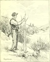Picture 14 of 34 from Ninety-nine : a calendar for the year 1899; with drawings illustrative of country life in Canada (1899), leaf 14