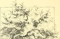 Picture 23 of 34 from Ninety-nine : a calendar for the year 1899; with drawings illustrative of country life in Canada (1899), leaf 21