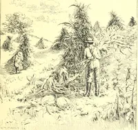 Picture 25 of 34 from Ninety-nine : a calendar for the year 1899; with drawings illustrative of country life in Canada (1899), leaf 22