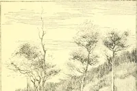 An illustration from Ninety-nine : a calendar for the year 1899; with drawings illustrative of country life in Canada (1899)