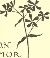 Picture 33 of 34 from Ninety-nine : a calendar for the year 1899; with drawings illustrative of country life in Canada (1899), leaf 28