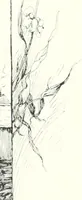 An illustration from Ninety-seven : a calendar for the year 1897 with sketches of some Canadian water-ways and appropriate selections from Canadian writers (1897)