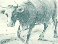 An illustration from Ninety-six : a calendar for the year 1896 with sketches of some Canadian water-ways and appropriate selections from Canadian writers (1896)