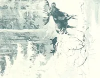 An illustration from Ninety-six : a calendar for the year 1896 with sketches of some Canadian water-ways and appropriate selections from Canadian writers (1896)