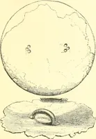 Picture 47 of 146 from Nineveh and Babylon; a narrative of a second expedition to Assyria during the years 1849, 1850, and 1851 (1867), leaf 116
