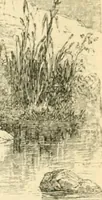 Picture 51 of 146 from Nineveh and Babylon; a narrative of a second expedition to Assyria during the years 1849, 1850, and 1851 (1867), leaf 125