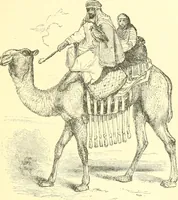 An illustration from Nineveh and Babylon; a narrative of a second expedition to Assyria during the years 1849, 1850, and 1851 (1867)