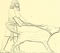 An illustration from Nineveh and Babylon; a narrative of a second expedition to Assyria during the years 1849, 1850, and 1851 (1867)