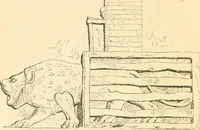 Picture 3 of 146 from Nineveh and Babylon; a narrative of a second expedition to Assyria during the years 1849, 1850, and 1851 (1867), leaf 21