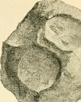 Picture 82 of 146 from Nineveh and Babylon; a narrative of a second expedition to Assyria during the years 1849, 1850, and 1851 (1867), leaf 225