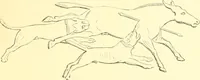 An illustration from Nineveh and Babylon; a narrative of a second expedition to Assyria during the years 1849, 1850, and 1851 (1867)