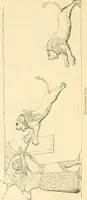 Picture 10 of 146 from Nineveh and Babylon; a narrative of a second expedition to Assyria during the years 1849, 1850, and 1851 (1867), leaf 25