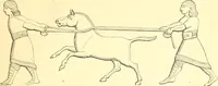 An illustration from Nineveh and Babylon; a narrative of a second expedition to Assyria during the years 1849, 1850, and 1851 (1867)