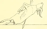 An illustration from Nineveh and Babylon; a narrative of a second expedition to Assyria during the years 1849, 1850, and 1851 (1867)