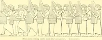 Picture 101 of 146 from Nineveh and Babylon; a narrative of a second expedition to Assyria during the years 1849, 1850, and 1851 (1867), leaf 306