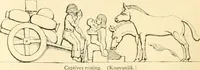 Picture 124 of 146 from Nineveh and Babylon; a narrative of a second expedition to Assyria during the years 1849, 1850, and 1851 (1867), leaf 387