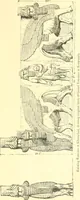 An illustration from Nineveh and Babylon; a narrative of a second expedition to Assyria during the years 1849, 1850, and 1851 (1867)