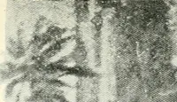 An illustration from The ninth International Congress of Delegated Representatives of Master Cotton Spinners' and Manufacturers' Associations, held in ... Scheveningen, June 9th, 10th, and 11th, 1913 (1913)