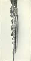 An illustration from The ninth International Congress of Delegated Representatives of Master Cotton Spinners' and Manufacturers' Associations, held in ... Scheveningen, June 9th, 10th, and 11th, 1913 (1913)