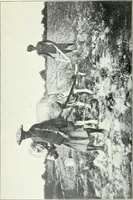 An illustration from The ninth International Congress of Delegated Representatives of Master Cotton Spinners' and Manufacturers' Associations, held in ... Scheveningen, June 9th, 10th, and 11th, 1913 (1913)