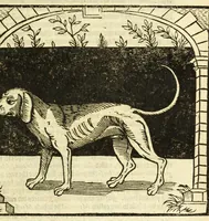 Picture 3 of 7 from The noble art of venerie or hunting : wherein is handled and set out the vertues, nature, and properties of fifteene sundry chaces, together with the order and manner how to hunt and kill euery one of them (1611), leaf 13