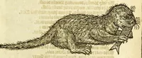 An illustration from The noble art of venerie or hunting : wherein is handled and set out the vertues, nature, and properties of fifteene sundry chaces, together with the order and manner how to hunt and kill euery one of them (1611)