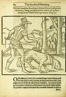 Picture 6 of 7 from The noble art of venerie or hunting : wherein is handled and set out the vertues, nature, and properties of fifteene sundry chaces, together with the order and manner how to hunt and kill euery one of them (1611), leaf 90